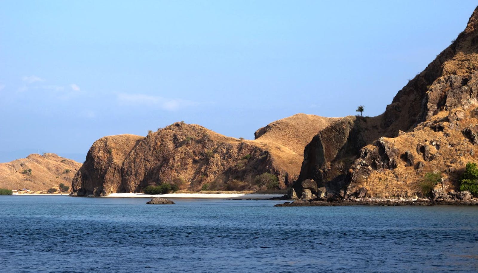 Lesser Sundas Deciduous Forests One Earth